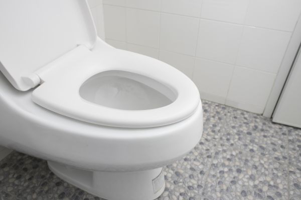 Cost of New Toilet Installation in Mansfield